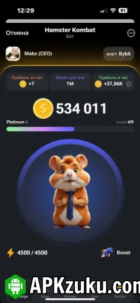 Hamster Kombat coin